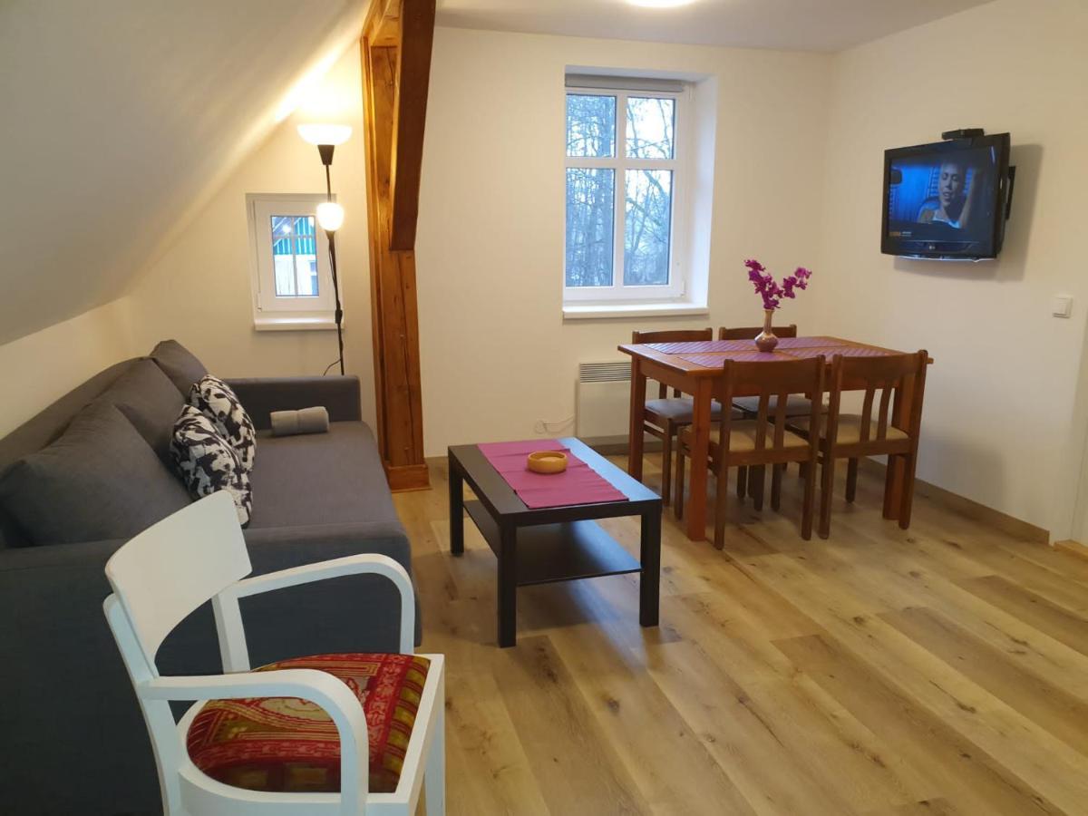 Apartment Bolkov Rudnik