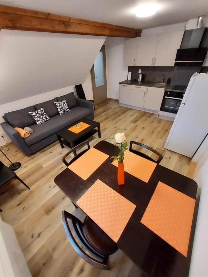 Bolkov Apartment *