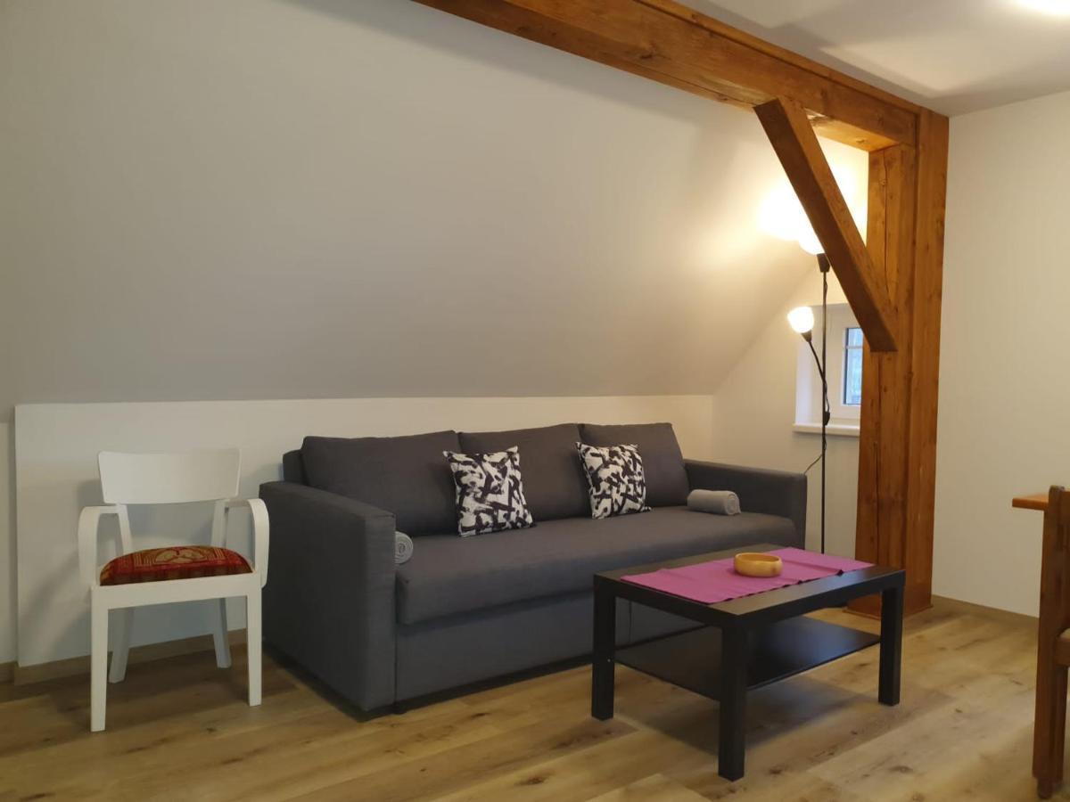 Bolkov Apartment Rudnik