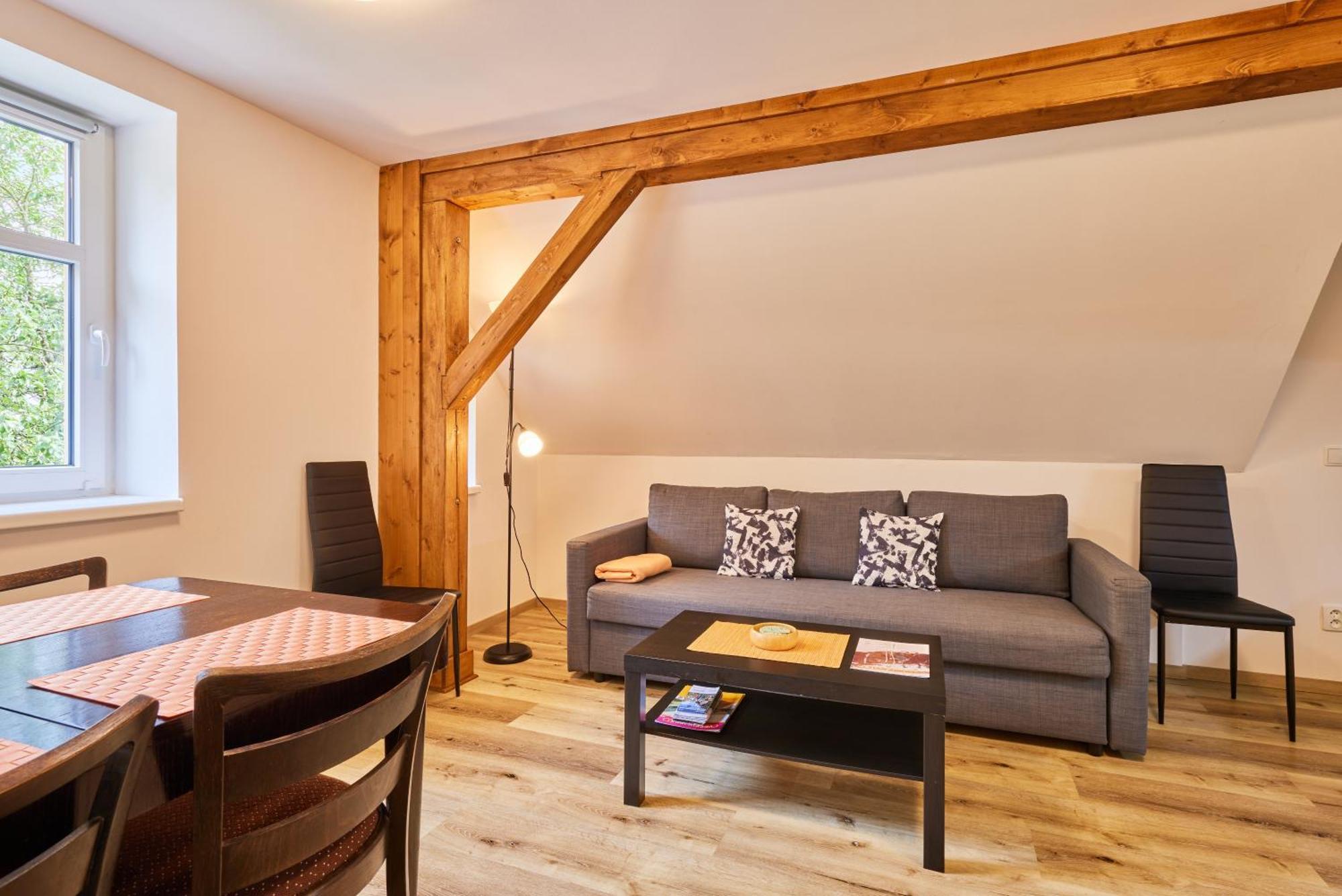 Apartment Bolkov Rudnik