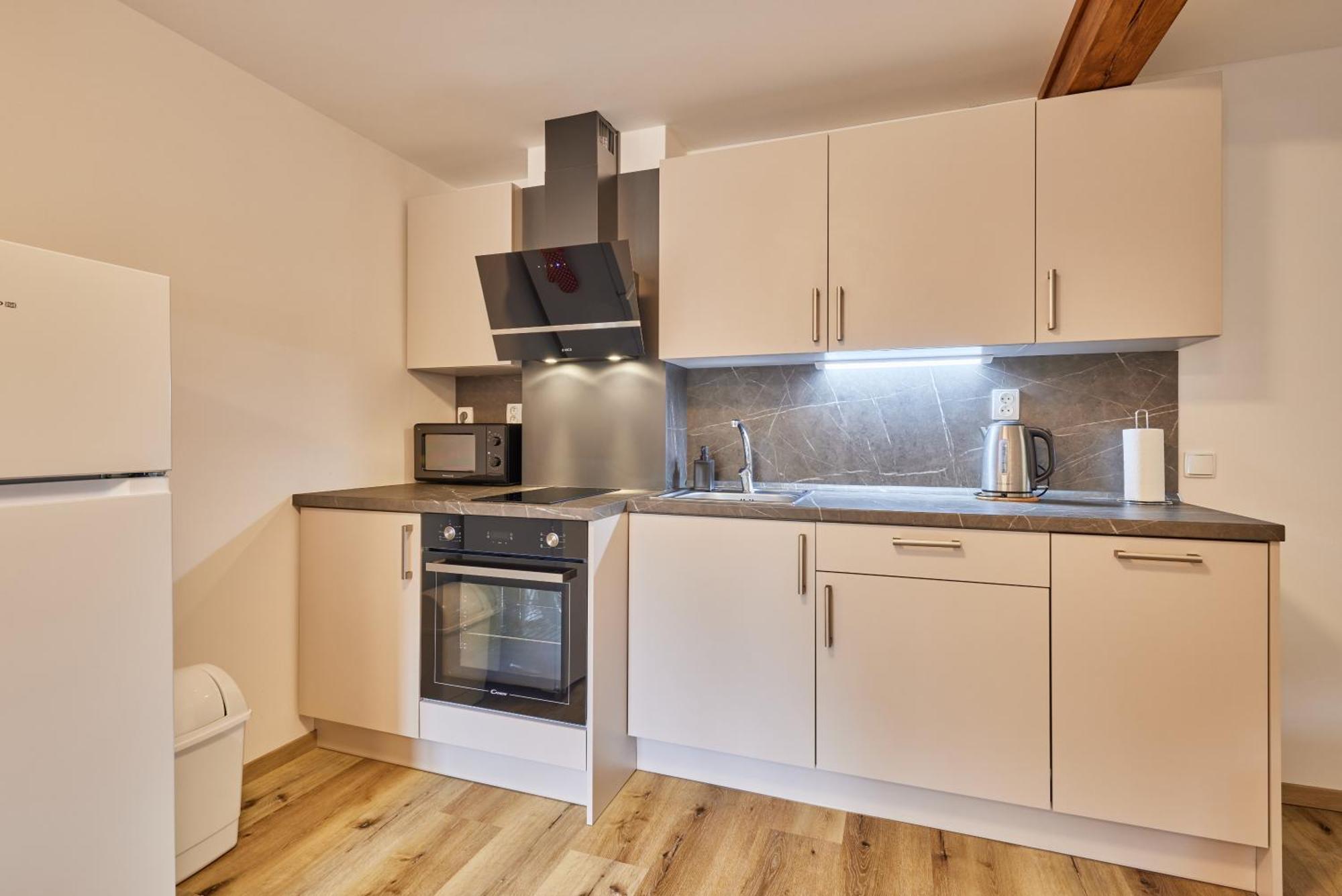 Apartment Bolkov